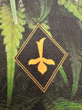 Cargar imagen en el visor de la galería, Lija Alakin Colmena Weed
