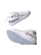 Rex Blanco Gris